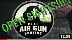 Real Air Gun Hunting: Open Sights
